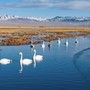Cina, un piano per rendere gli ecosistemi più resilienti entro il 2030 Cina, un piano per rendere gli ecosistemi più resilienti entro il 2030