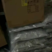 Torino, maxi sequestro stupefacenti. Oltre 110 kg di marijuana e hashish