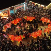 Cina, Anhui ospita la tradizionale parata di lanterne a forma di pesce