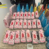 Duro colpo alle piazze di spaccio di Roma, sequestrati 55 kg di droga