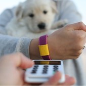 Intesa Sanpaolo e Mastercard con Tapster, arriva il Payment Bracelet