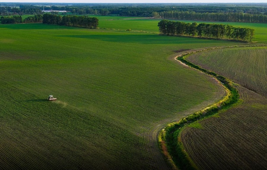 Portavoce Cina, pronti a facilitare commercio agricolo bilaterale con Usa Portavoce Cina, pronti a facilitare commercio agricolo bilaterale con Usa