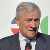 Tajani “La scelta Usa sul diesel non aiuta a portare Putin al tavolo della pace” Tajani “La scelta Usa sul diesel non aiuta a portare Putin al tavolo della pace”
