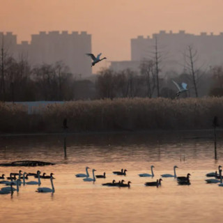 Ambiente, migliorano i parametri in Cina nel 2025