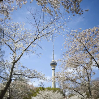 Pechino, quasi eliminate le giornate con livello “grave” di inquinamento