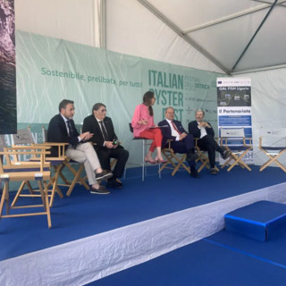 Ostriche, dalla Liguria la strategia per la crescita della filiera