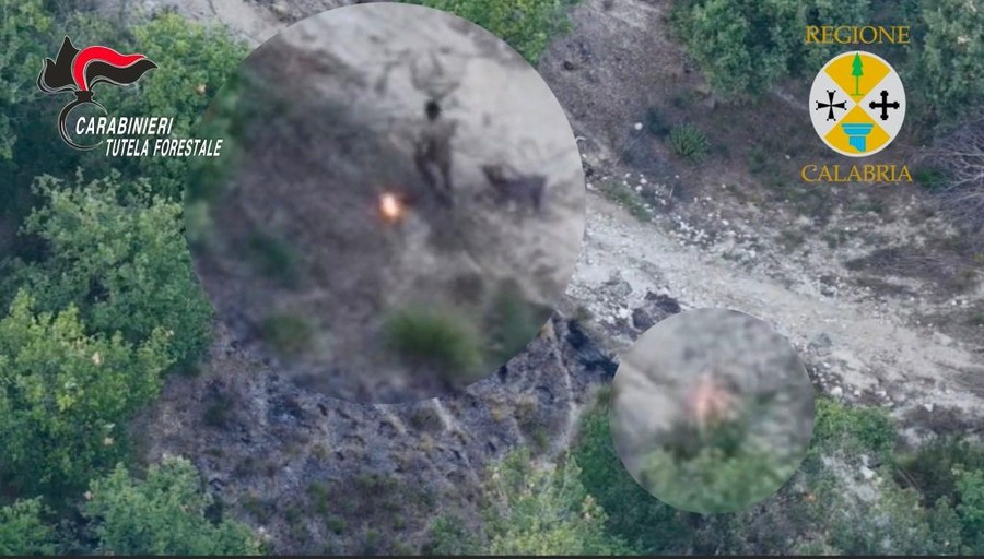 Sorpreso dal drone a incendiare bosco, arrestato allevatore nel vibonese Sorpreso dal drone a incendiare bosco, arrestato allevatore nel vibonese