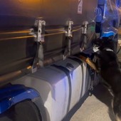 Sequestrati 85 kg di droga al porto di Civitavecchia, arrestato autista bulgaro Sequestrati 85 kg di droga al porto di Civitavecchia, arrestato autista bulgaro