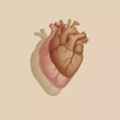 Scompenso cardiaco, nasce il gruppo di lavoro per la diagnosi precoce