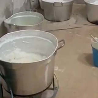 Dall’Ecuador al litorale laziale, smantellato cartello della cocaina
