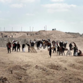 Dall’Italia arrivato nuovo carico di aiuti “Food for Gaza”