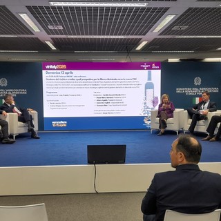 Ismea a Vinitaly: strategie, strumenti e prospettive per il vino italiano
