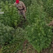 Blitz antidroga in Sardegna, 21 misure cautelari