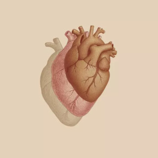 Scompenso cardiaco, nasce il gruppo di lavoro per la diagnosi precoce
