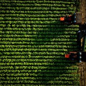 A Verona l’ultima tappa del roadshow Coldiretti-Philip Morris