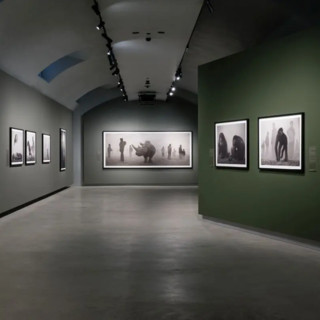 Alle Gallerie d’Italia di Torino la mostra “Nick Brandt”
