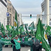 L’agricoltura protesta a Bruxelles, Giansanti “Asset strategico per l’Europa” L’agricoltura protesta a Bruxelles, Giansanti “Asset strategico per l’Europa”
