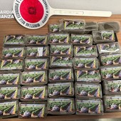 La droga viaggiava sui social e nei pacchi postali, blitz a Palermo con 11 arresti