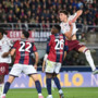 Pari senza gol fra Bologna e Torino Pari senza gol fra Bologna e Torino