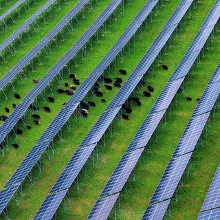 Cina, nel Sichuan attivato importante progetto fotovoltaico ad alta quota