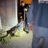 Dieci arresti nel Salernitano per scambio elettorale politico mafioso