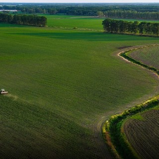 Portavoce Cina, pronti a facilitare commercio agricolo bilaterale con Usa