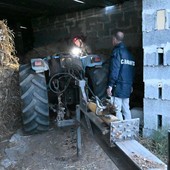 Mafia nel Nord Salento, blitz dei Carabinieri con 30 arresti