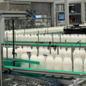 Arriva sul mercato italiano un’innovativa bottiglia in fibra di carta Arriva sul mercato italiano un’innovativa bottiglia in fibra di carta