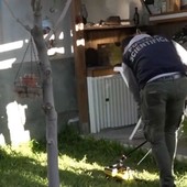 Duplice omicidio di due bambini, giovane madre arrestata nel reggino Duplice omicidio di due bambini, giovane madre arrestata nel reggino