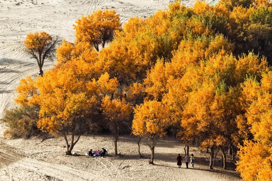 Cina, nello Xinjiang produzione di petrolio greggio supera 1,7 mln di tonnellate Cina, nello Xinjiang produzione di petrolio greggio supera 1,7 mln di tonnellate