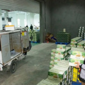 Cina, crescita costante per il settore postale nei primi due mesi dell’anno