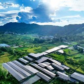 La Cina promuove lo sviluppo di reti elettriche di nuova generazione La Cina promuove lo sviluppo di reti elettriche di nuova generazione