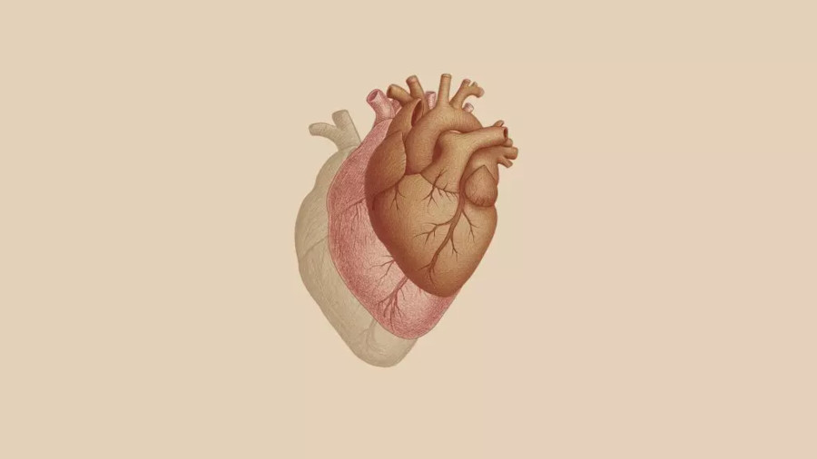 Scompenso cardiaco, nasce il gruppo di lavoro per la diagnosi precoce